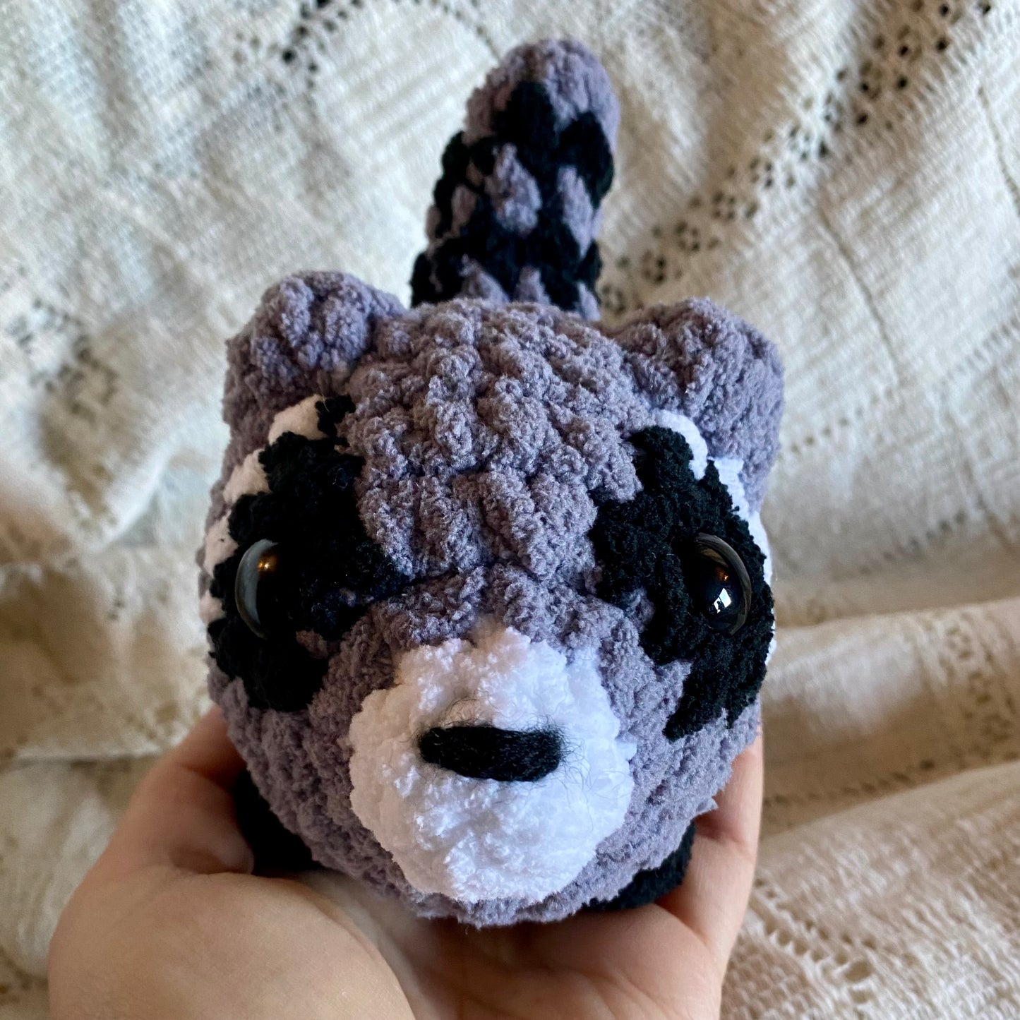 Raccoon