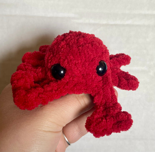 Crab
