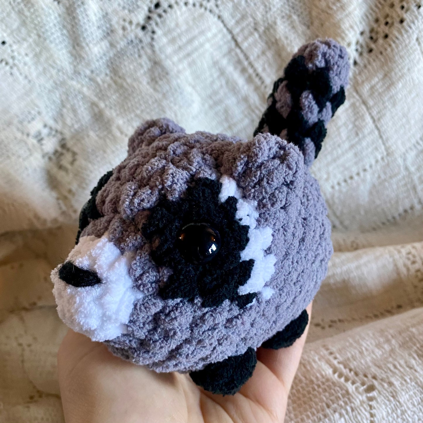 Raccoon