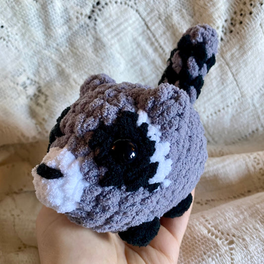 Raccoon