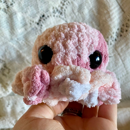 Octopus